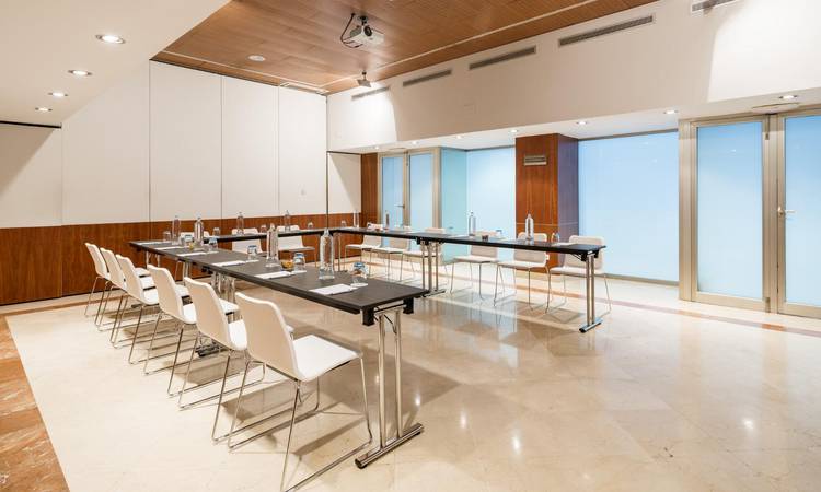 Ejecutivo Hotel Ilunion Málaga Málaga Ejecutivo Hotel Ilunion Málaga Málaga